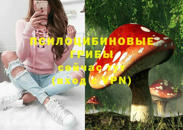 шишки Богданович