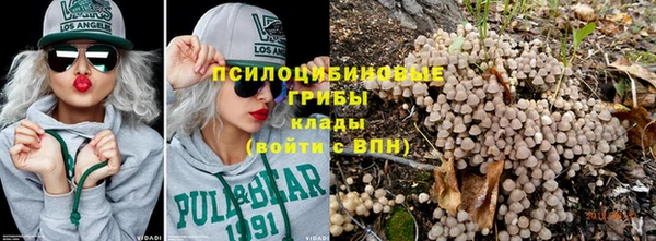дмт Богородицк