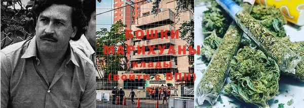 ПСИЛОЦИБИНОВЫЕ ГРИБЫ Бердск