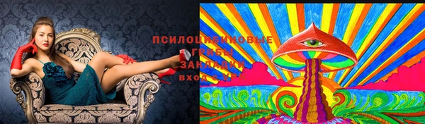 каннабис Беломорск