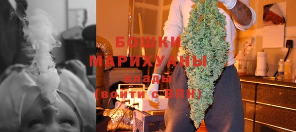 индика Белоозёрский