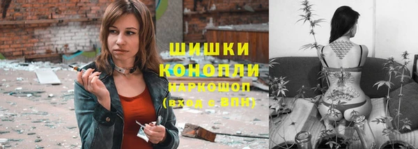индика Белоозёрский