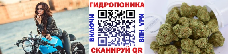 дарнет шоп  Великий Устюг  Канабис индика 